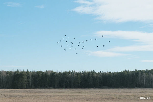 上海市居住证和上海市人才引进居住证有区别吗?仔细给你分析!