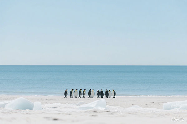 2026年上海临港居转户落户条件、公司要求、申请材料