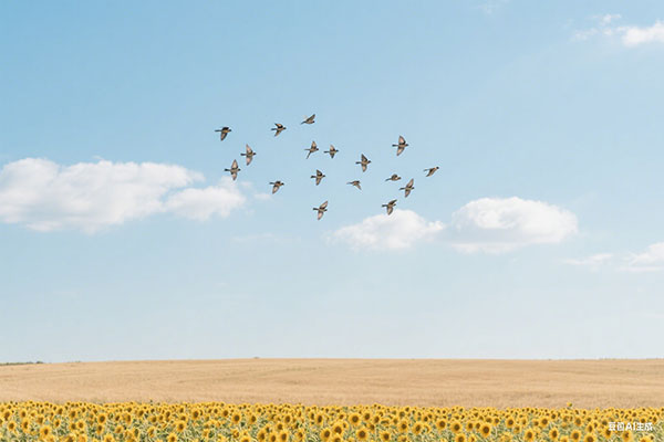 2026年上海积分落户计算器最新版本,上海落户条件积分自测查询!