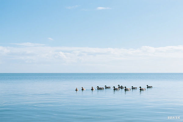 上海人才引进落户发现大学毕业证丢失了该怎么补办？