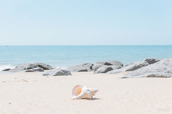 【攻略指南】申请上海居住证积分时发现学历证书丢失要怎么办？