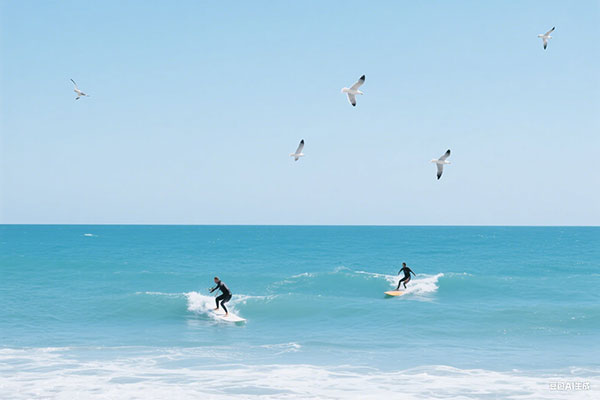 【留学生落户】一定要注意这四个问题,否则基本无缘落户上海!