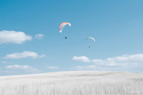 8月最新!留学生入职公司范围放宽,人力资源公司也可以落户上海!