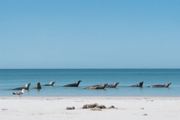 2026年上海黄浦区居住证积分120分办理注意事项