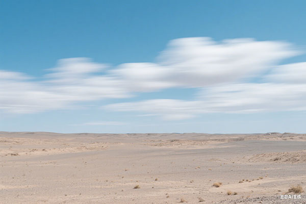 2026年上海居转户常见问题总结,务必了解清楚!